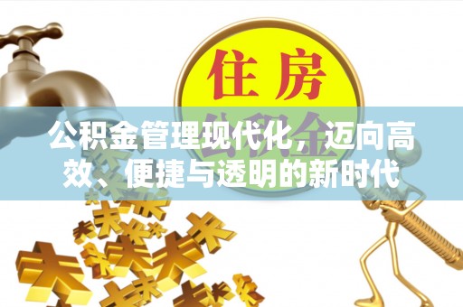 封丘公积金管理现代化，迈向高效、便捷与透明的新时代