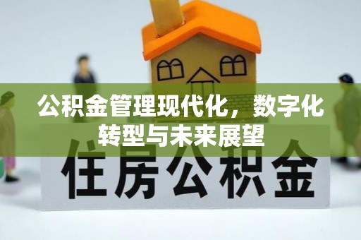 封丘公积金管理现代化，数字化转型与未来展望
