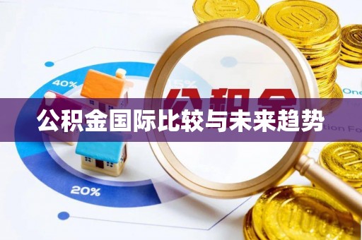 封丘公积金国际比较与未来趋势