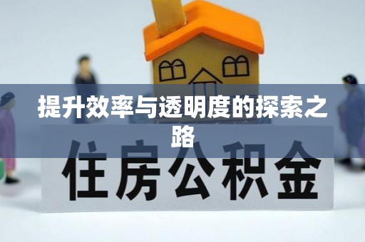 封丘提升效率与透明度的探索之路