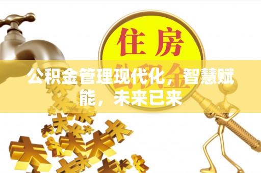 封丘公积金管理现代化，智慧赋能，未来已来