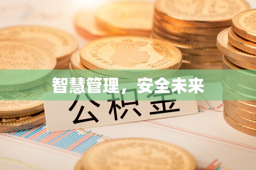 封丘智慧管理，安全未来