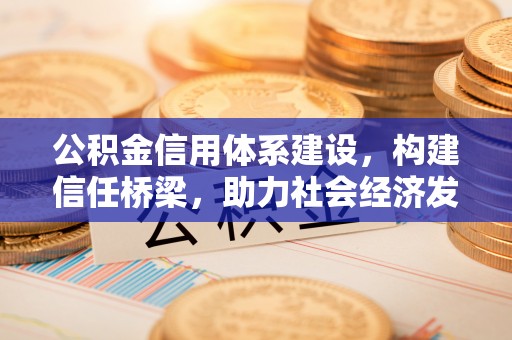 封丘公积金信用体系建设，构建信任桥梁，助力社会经济发展
