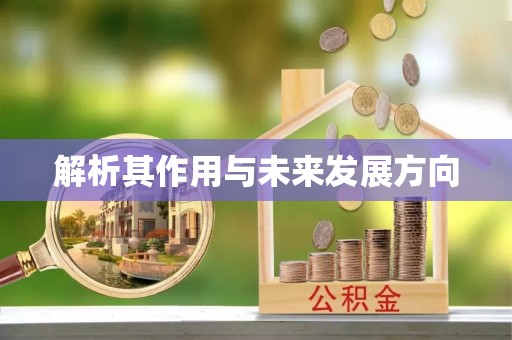 封丘解析其作用与未来发展方向